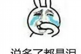 鸠江要账公司排名：揭秘行业翘楚，助力企业高效追债